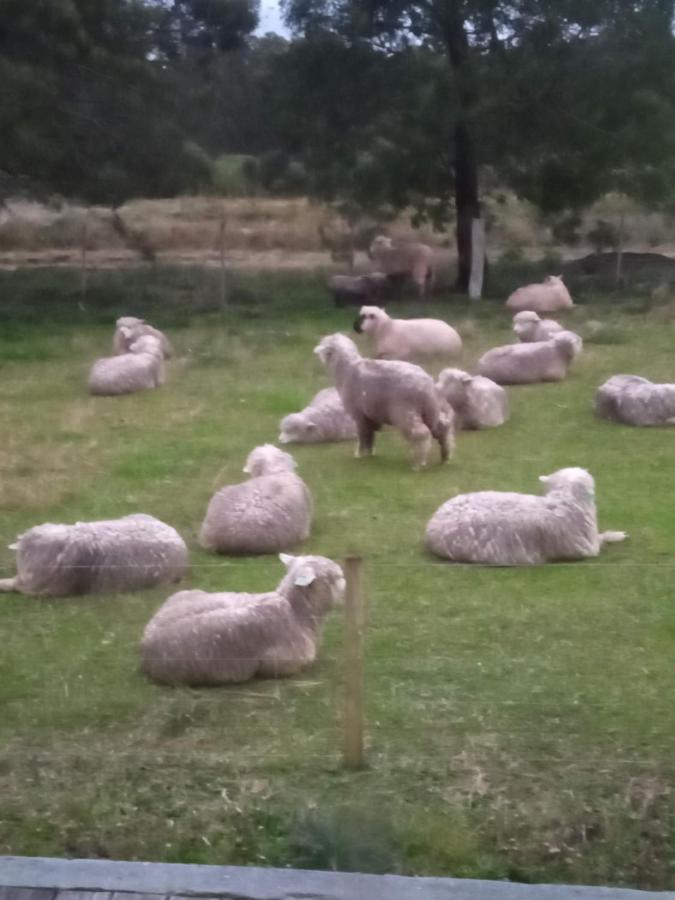 Pousada Do Pampa Jaguarão Exterior foto