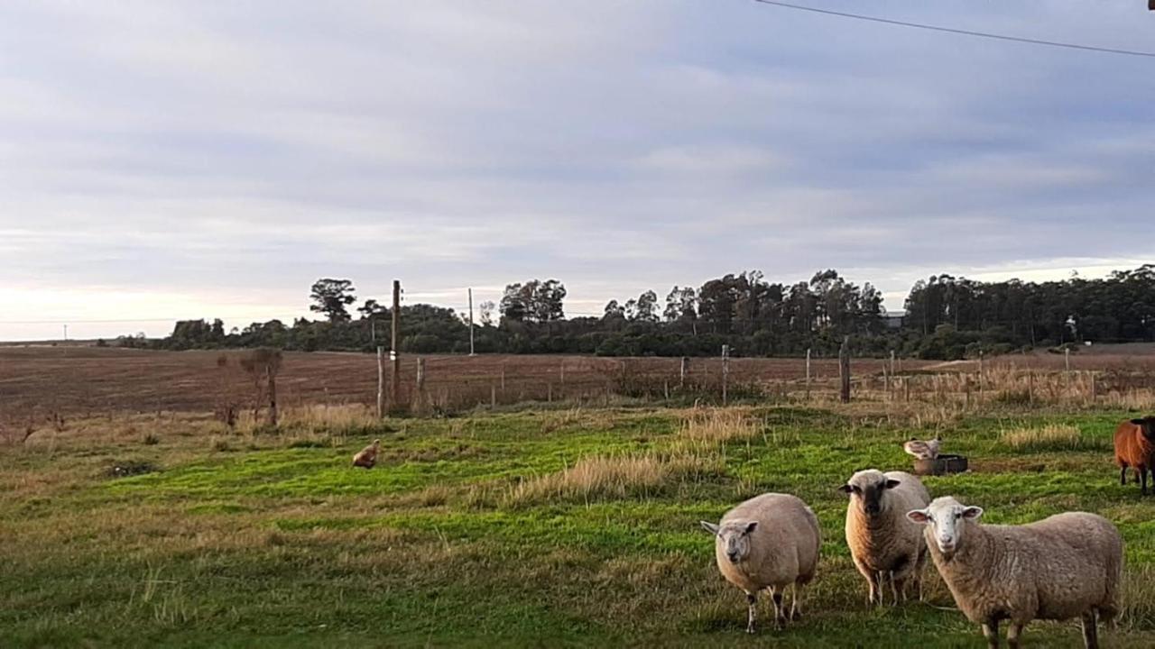 Pousada Do Pampa Jaguarão Exterior foto