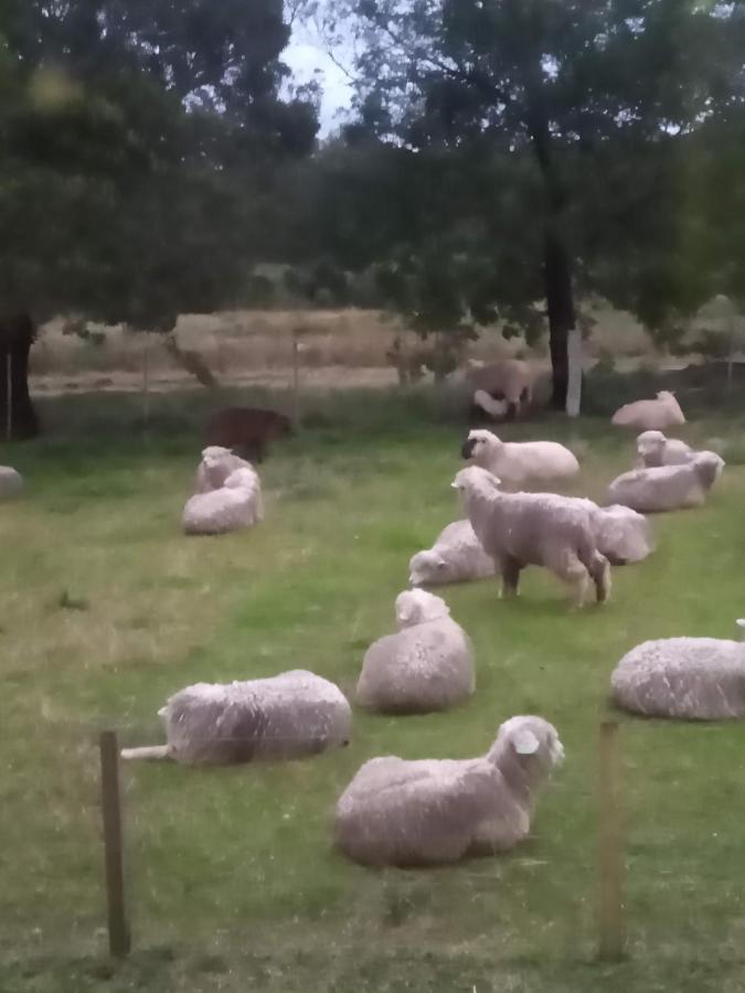 Pousada Do Pampa Jaguarão Exterior foto